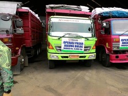 Tugas Bulog Amankan Jagung: Beli dari Importir dan Impor 600 Ribu Ton