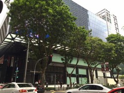 Mengintip Apple Store Setengah Jadi di Singapura