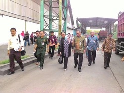 Ini Syarat Bagi Peternak Beli Jagung Operasi Pasar Bulog