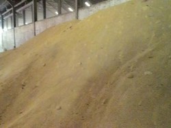 Bulog Beli Jagung dari Importir Rp 3.200/Kg, Dijual Rp 3.300-3.600/Kg