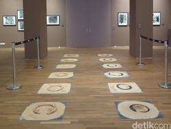 Memaknai Materi Alam dalam Karya Seni Tang Da Wu