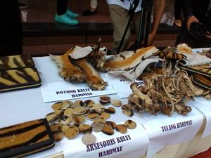 Selain Aksesoris, Organ Tubuh Satwa Langka Juga Dijual untuk Obat Kuat