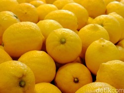 Apa Makanan yang Harus Dikonsumsi Agar Jadi Pengendara yang Andal?