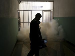 Pencegahan Penyebaran Virus Zika di Berbagai Negara