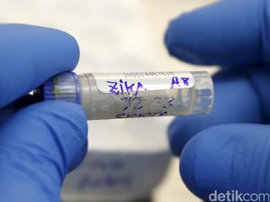 Zika Mulai Mengancam Asia, Peneliti Sebut Indonesia Termasuk Paling Rentan Zika Mulai Mengancam Asia, Peneliti Sebut Indonesia Termasuk Paling Rentan