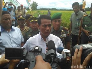 5 Negara Ini Apresiasi RI Karena Bisa Atasi El Nino