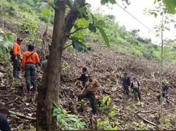 Bersih-bersih Longsoran, Kepala Dukuh di Kulonprogo Tewas Tertimbun Tanah