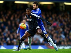 Kesempatan Si Biru Teruskan Catatan Apiknya