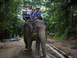 Turis Skotlandia Tewas Tertusuk Gading Gajah di Thailand