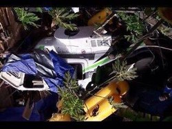 Heli Bell yang Jatuh di Enarotali Papua Angkut 6 Orang, Semua Selamat