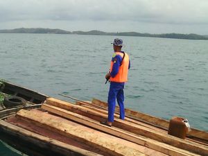 Kapal Bermuatan 10 Ton Kayu Disergap Polisi di Kepri, Nakhoda Terjun ke Laut