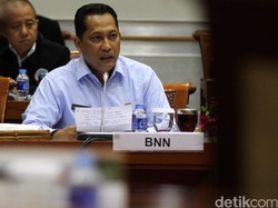 Kata Komjen Buwas Soal Sonya Depari Jadi Duta Anti Narkoba