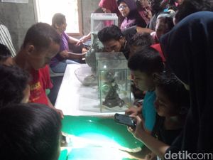 Banyak Orang Tonton Jenglot dan Keris Raksasa, Uang Sumbangan Sehari Capai Rp 600 Ribu