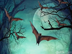 Penelitian Ini Ungkap Otak Kelelawar yang Bagaikan GPS dan Perilaku Uniknya