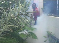 Satu Warga Meninggal karena Demam Berdarah, Dinkes Probolinggo Lakukan Fogging