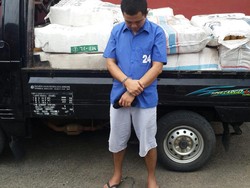 Bareskrim Polri Musnahkan 1,3 Ton Ganja Kering