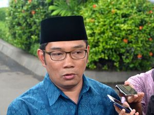 Tak Maju di Pilgub DKI 2017, Emil Sangkal Takut Kalah Lawan Ahok Tak Maju di Pilgub DKI 2017, Emil Sangkal Takut Kalah Lawan Ahok