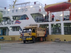 Kapal Ternak Kini Berlayar dengan Muatan Penuh, Bawa 500 Sapi