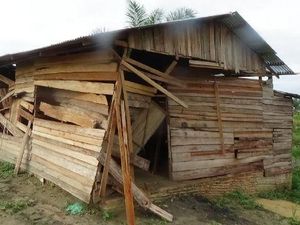 Ini Penampakan Rumah yang Diamuk Segerombolan Gajah di Bengkalis Riau