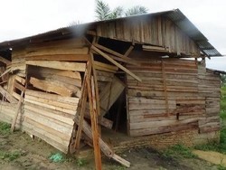 Ini Penampakan Rumah yang Diamuk Segerombolan Gajah di Bengkalis Riau