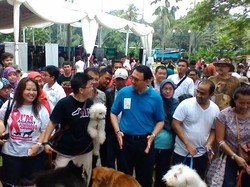 Ahok: Pelihara Hewan Wajib Pasang Microchip Agar Bisa Dikontrol