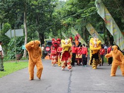 Taman Safari Prigen Suguhkan Barongsai dan Pohon Angpau Selama Libur Imlek