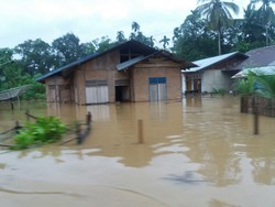 Dua Kabupaten di Aceh Direndam Banjir, 4 Ribu Warga Mengungsi