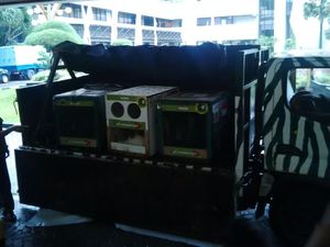 7 Orangutan Hasil Selundupan Dilepas ke Hutan Sumatera dan Kalimantan