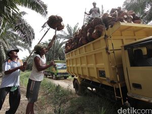Jenis Kendaraan yang Boleh Minum Solar Dibatasi Jenis Kendaraan yang Boleh Minum Solar Dibatasi
