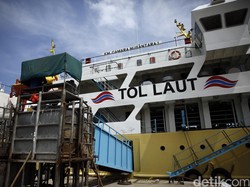 4,5 Bulan Berlayar, Kapal Ternak Telah Angkut 2.979 Sapi