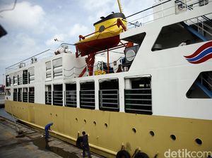 645.000 Sapi Dikirim ke Jakarta dan Jabar, 50% Diangkut Kapal Ternak 645.000 Sapi Dikirim ke Jakarta dan Jabar, 50% Diangkut Kapal Ternak