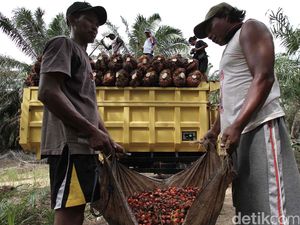 Andalkan Sawit, BRI Agro Bidik Penyaluran Kredit Rp 10 Triliun Andalkan Sawit, BRI Agro Bidik Penyaluran Kredit Rp 10 Triliun