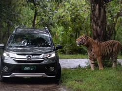 Tren Mobil Selalu Berubah, Ini Strategi Honda