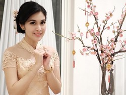 Hidung Astrid Tiar dan Dagu Sandra Dewi Jadi Favorit di Klinik Kecantikan