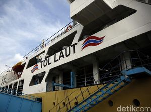 Tiba Pagi Ini di Priok, Kapal Ternak Bawa 500 Sapi