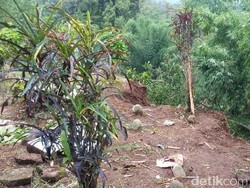 Pemakaman di Tasikmalaya Longsor, Jenazah dan Kerangka Berserakan