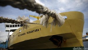 Kapal Ternak KM Camara Bawa 299 Ekor Sapi