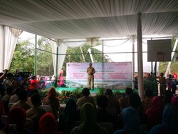 Ahok Resmikan 10 Taman dan Plaza Reformasi