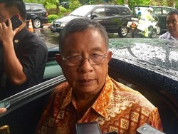 Darmin: Impor Jeroan Hanya Sementara