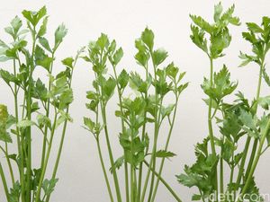 Sambodo: Antara Data dan Fakta