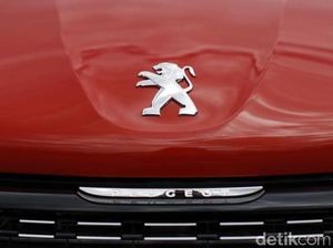 Peugeot Seperti Durian: Ada yang Cinta Mati, Ada yang Nggak Kenal
