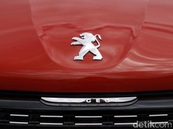 Peugeot Seperti Durian: Ada yang Cinta Mati, Ada yang Nggak Kenal