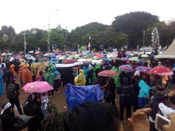 Gerimis, Ribuan Tenaga Honorer Bertahan di Depan Istana dengan Jas Hujan