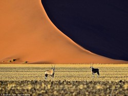 Kisah Fotografer Remaja Keliling 25 Negara dengan Kapal