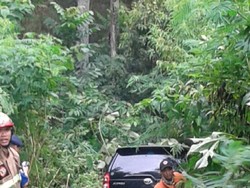 Avanza Nyungsep ke Hutan Lindung Dago Pakar