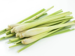 Saran Menkes: Serai dan Kecombrang Juga Bisa Digunakan untuk Hindari Nyamuk