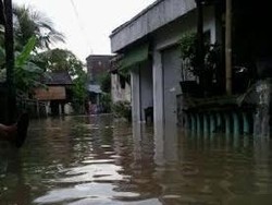 Empat Desa di Driyorejo Banjir Akibat Sungai Berantas Meluap