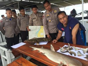 Polisi Cokok Nelayan yang Menangkap 17 Ekor Ikan Hiu di Perairan Pangkep