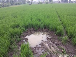 Cerita Warga soal Helm dan Kursi yang Tercecer di Lokasi Penemuan Mayor Ivy