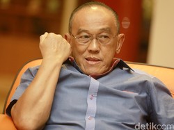 Ketua Dewan Pembina Golkar: Dulu Milik Soeharto, Kini Diduduki Ical